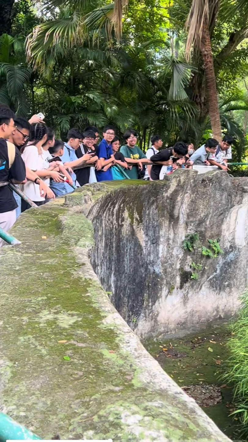 Ban đầu, ai cũng đoán đó liệu có phải là một loài động vật hoang dã quý hiếm nào đó mà Thảo Cầm Viên mới đưa về.