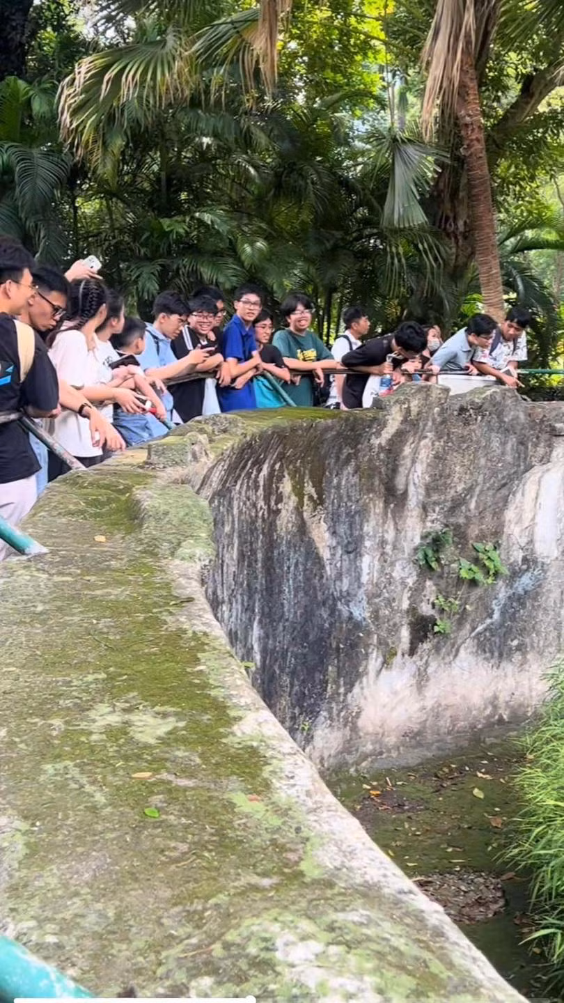 Ban đầu, ai cũng đoán đó liệu có phải là một loài động vật hoang dã quý hiếm nào đó mà Thảo Cầm Viên mới đưa về.