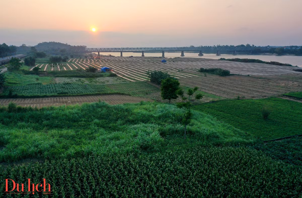 Dong song me hoac du khach khi dat chan den Quang Ngai-Hinh-12