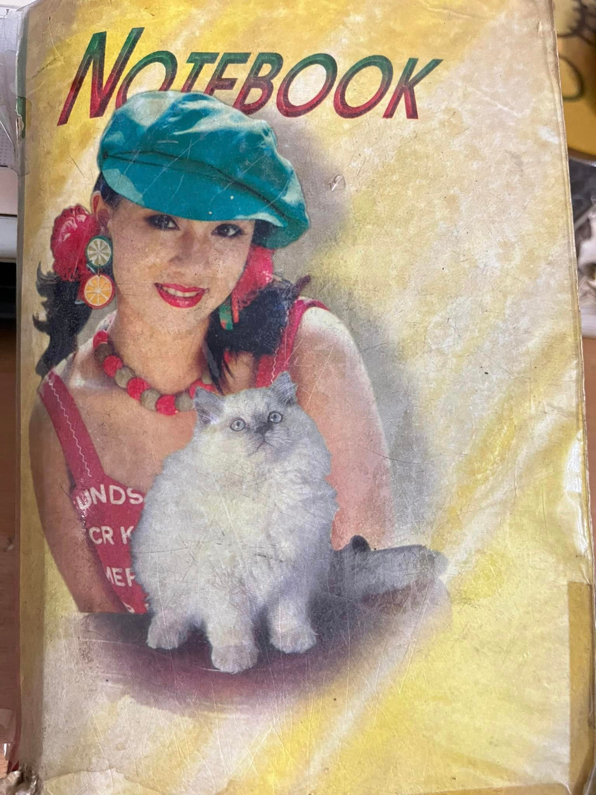 Với sự phát triển của công nghệ, các máy móc thiết bị điện tử ngày càng nhiều nên gần như không còn ai có thói quen sử dụng những cuốn sổ ghi chép. Tuy nhiên, với những lứa 8x, 9x đời đầu thì đây là cả một vùng trời thanh xuân.