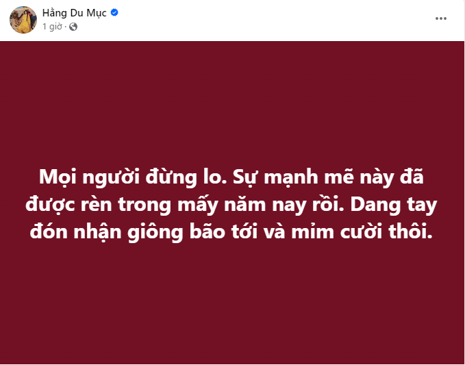 Về phía Hằng Du Mục, cô chỉ thông báo ngắn gọn trên trang cá nhân: "Mọi người đừng lo. Sự mạnh mẽ này đã được rèn trong mấy năm nay rồi. Dang tay đón nhận giông bão tới và mỉm cười thôi".