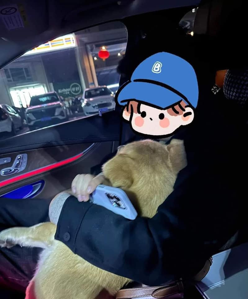 Một trường hợp khác thì không gây ra hậu quả là những bãi chiến trường khủng khiếp như vậy, nhưng khiến nhiều người không biết nên khóc hay cười. Ông chồng trong ảnh đi nhậu về, mang theo cả...1 chú chó lạ.