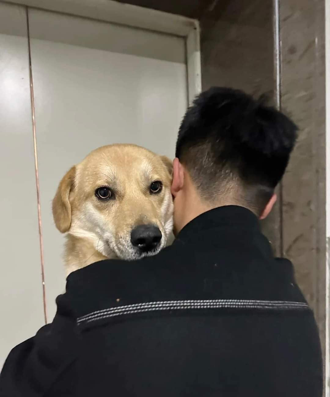 Những lúc say, các ông chồng thường làm những hành động không tưởng.