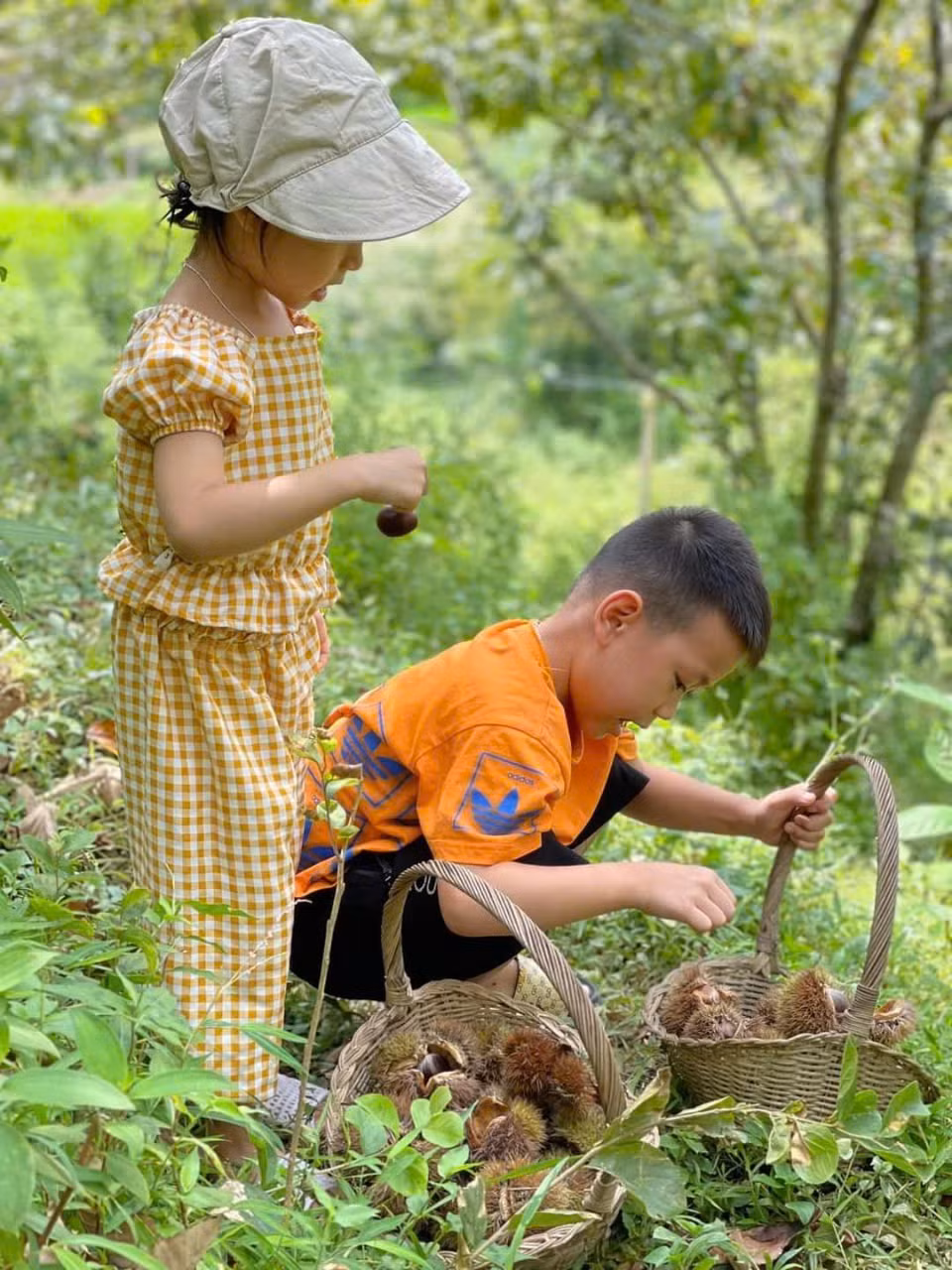 Ru nhau len Lang Son nhat hat de voi ve vao vuon 0 dong-Hinh-3