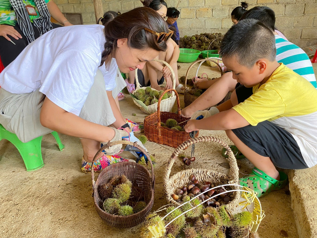 Ru nhau len Lang Son nhat hat de voi ve vao vuon 0 dong-Hinh-2