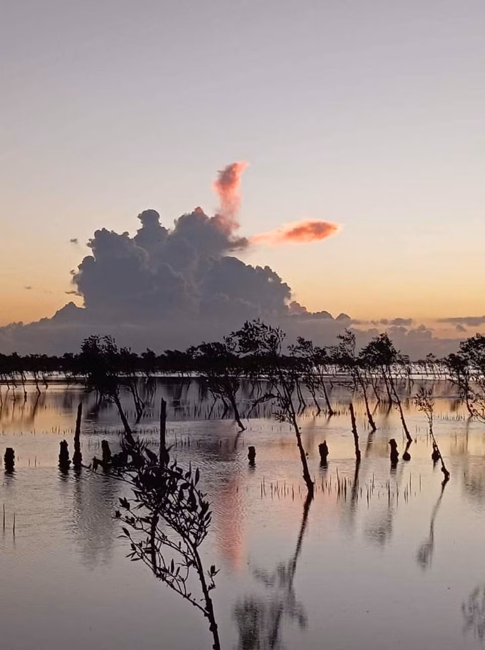 Một góc nhìn khác của đám mây cá chép độc đáo.