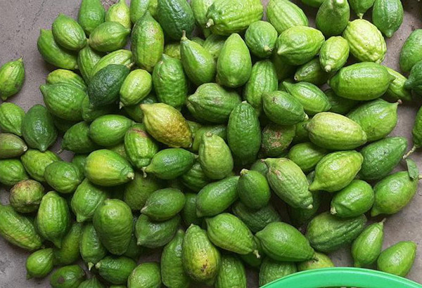 Loai chanh “sieu to khong lo”, vo san sui xau xi ma gia ban cao ngat-Hinh-4