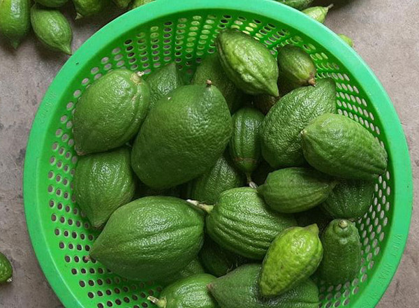 Loai chanh “sieu to khong lo”, vo san sui xau xi ma gia ban cao ngat-Hinh-3