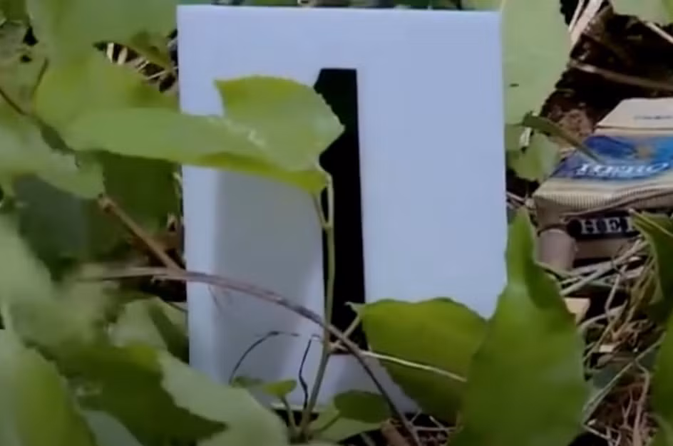 Nạn nhân khi đi bán vé số thường mang rất nhiều vàng đeo trên tay, trên cổ. Do đó, cảnh sát nhận định, hung thủ đã theo dõi, giết người để cướp tài sản. Trên tử thi có nhiều dấu vết bầm tím ở mặt, đầu và cổ. Khả năng đối tượng đã dùng vật tày để tác động vào nạn nhân, sau đó dìm xuống nước. 