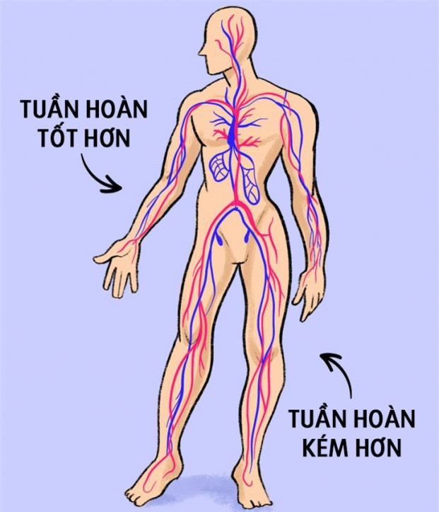 Vi sao mong tay moc dai nhanh hon mong chan?-Hinh-2