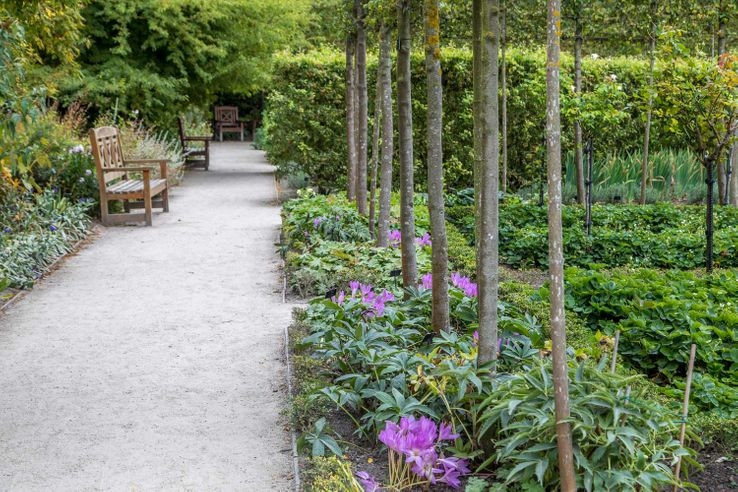 Su that dang sau cau chuyen khu vuon trong hon 100 loai cay doc chet nguoi-Hinh-8