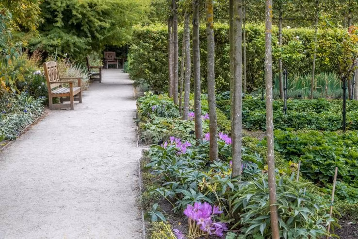 Su that dang sau cau chuyen khu vuon trong hon 100 loai cay doc chet nguoi-Hinh-8