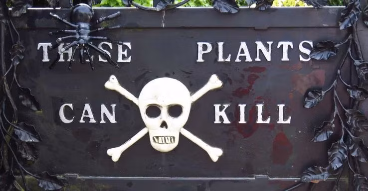 Su that dang sau cau chuyen khu vuon trong hon 100 loai cay doc chet nguoi-Hinh-5