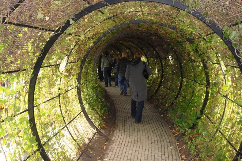 Su that dang sau cau chuyen khu vuon trong hon 100 loai cay doc chet nguoi-Hinh-12