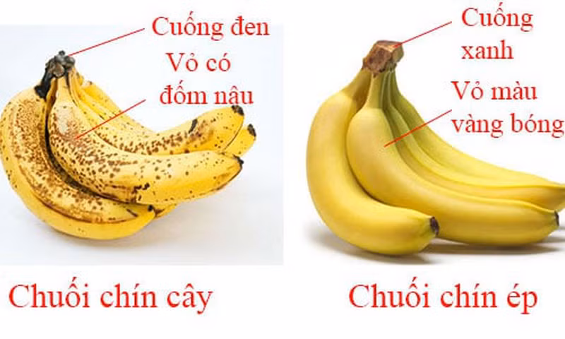 Bay loai trai cay ban day cho de bi ngam u hoa chat