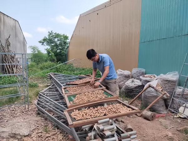 9x khoi nghiep voi loai go dac biet, co thang ban gan nghin san pham-Hinh-2