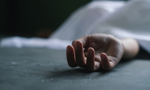 Nguoi phu nu tu tu sau khi meo cung qua doi gay bang hoang