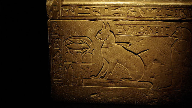 Top 10 su that kinh ngac it nguoi biet ve Ai Cap co dai-Hinh-2