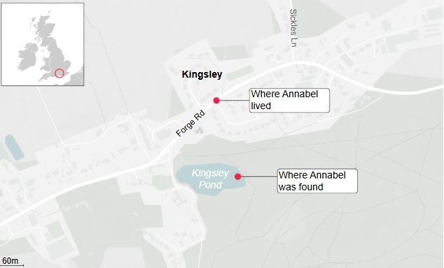 Vào thời điểm xảy ra thảm kịch, người dân địa phương kể lại rằng họ nghe thấy một người lớn hét lên "Cứu tôi với" ở bờ ao, sau đó nhìn thấy một nạn nhân được quấn trong chăn vào đưa lên xe cứu thương. Tại bệnh viện, đứa trẻ mới biết đi được tuyên bố đã tử vong. Ảnh: DM.