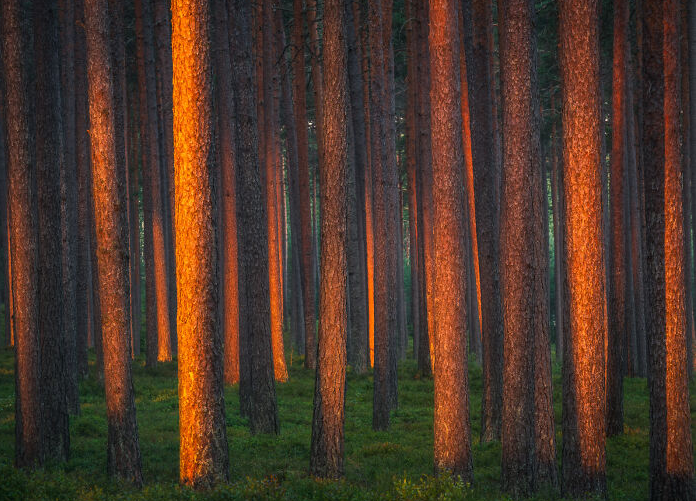 Một trong những địa điểm chụp ảnh yêu thích của nhiếp ảnh gia Oscar Keserci ở Phần Lan là Kuusamo, đặc biệt là trong những tháng mùa đông.