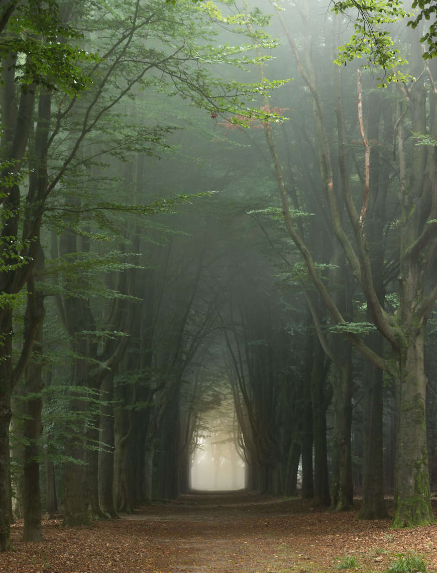 Me dam canh yen binh tai vung nong thon Ha Lan