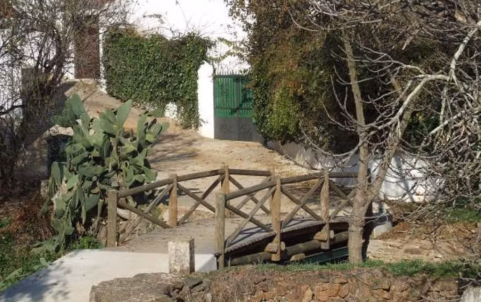 Can canh cay cau xuyen quoc gia ngan nhat the gioi