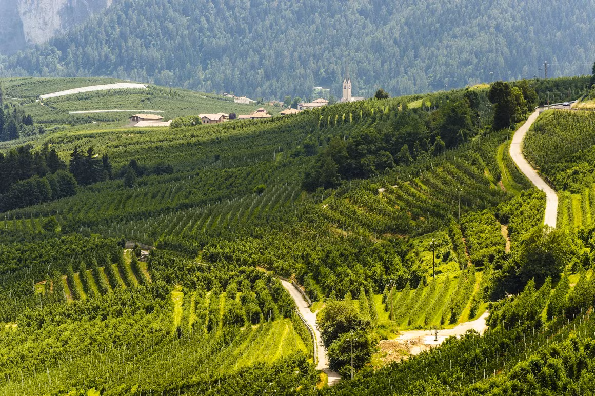 Vung dat ky la o Chau Au, den dinh cu duoc tang 3 ty-Hinh-6