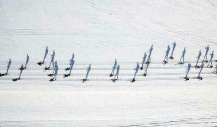 Người trượt tuyết trông giống như những nốt nhạc.