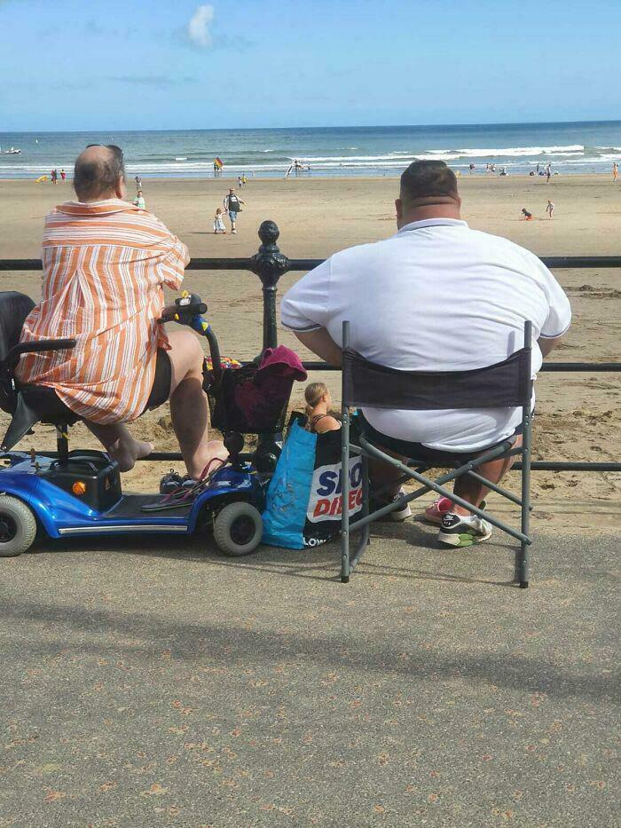 Một khoảnh khắc trùng hợp thú vị khiến người phụ nữ như ở trong chiếc túi.