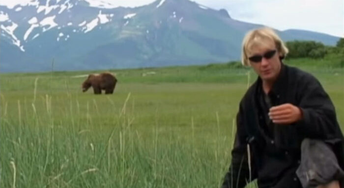 Timothy Treadwell đã dành cả đời để quan sát và tìm hiểu về loài gấu. Cuối cùng, anh đã bị một con gấu xám tấn công và tử vong.