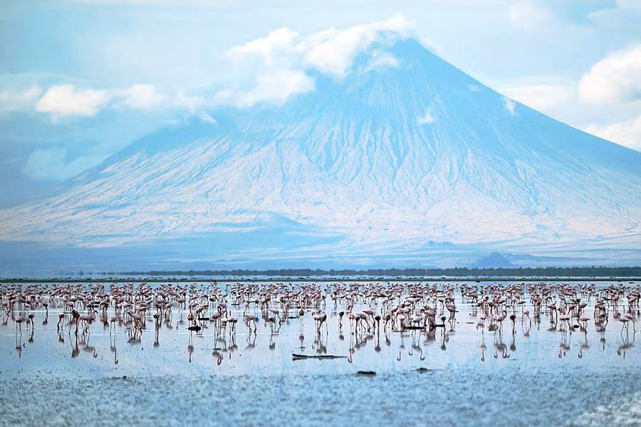 Canh tuong sung sot o “