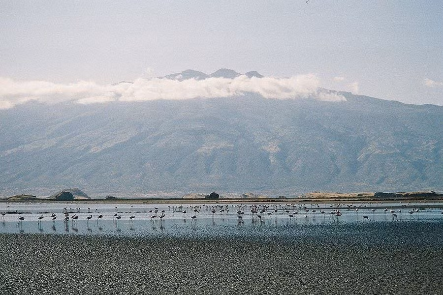 Canh tuong sung sot o “