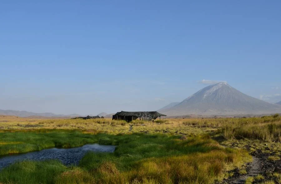 Canh tuong sung sot o “