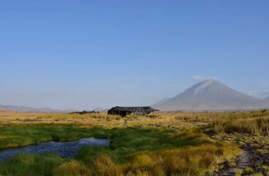 Canh tuong sung sot o “