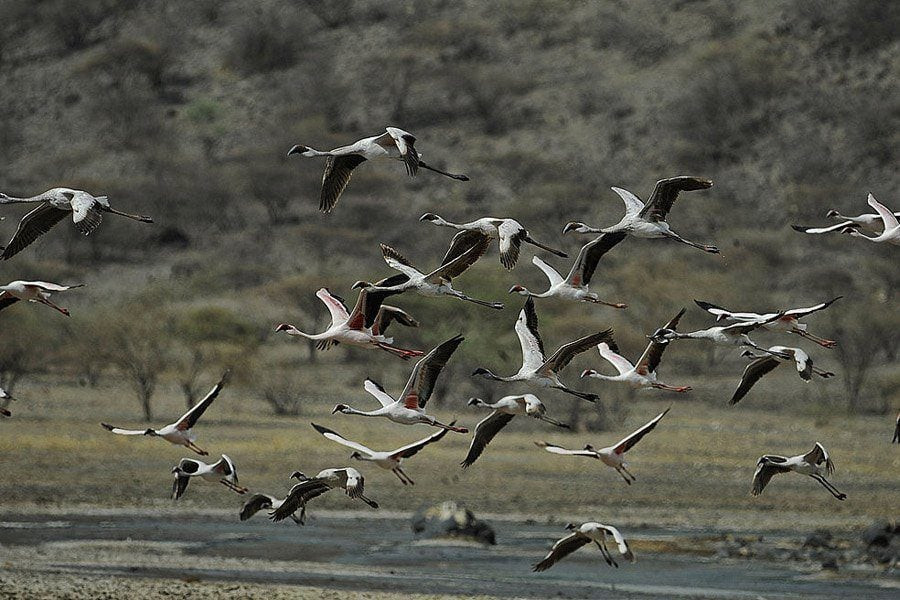 Canh tuong sung sot o “