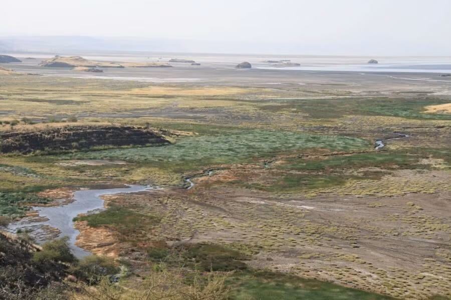 Canh tuong sung sot o “