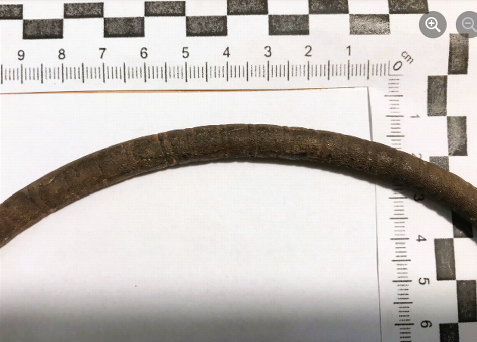 Chiếc vòng cổ sẽ được phân tích thêm về phần kim loại tại Viện Khảo cổ học thuộc Đại học Nicolas Copernicus ở Torún trước khi được chuyển đến một trong những bảo tàng trong khu vực. Ảnh: ATI.