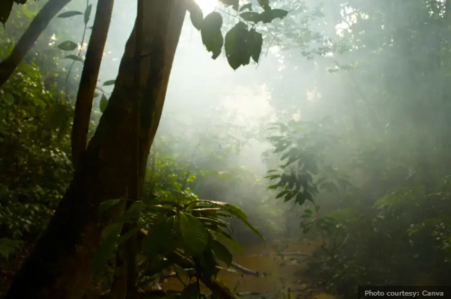 Top su that thu vi ve dat nuoc Brazil co the ban chua biet-Hinh-3