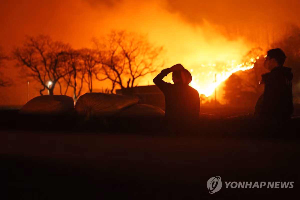 Chay rung thieu rui ngoi chua hon 1.000 nam tuoi o Han Quoc