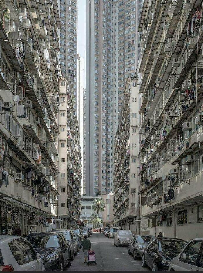 Bức ảnh chụp tại Hong Kong (Trung Quốc).