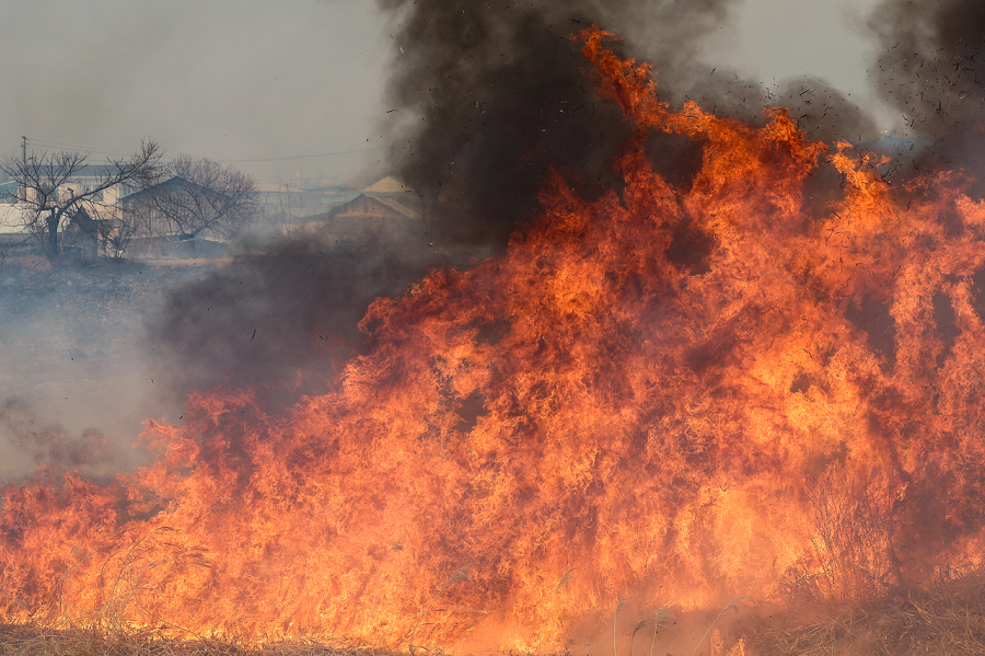 Đây là một trong những vụ cháy rừng tồi tệ nhất tại Hàn Quốc trong nhiều thập kỷ. Ảnh: Yonhap.
