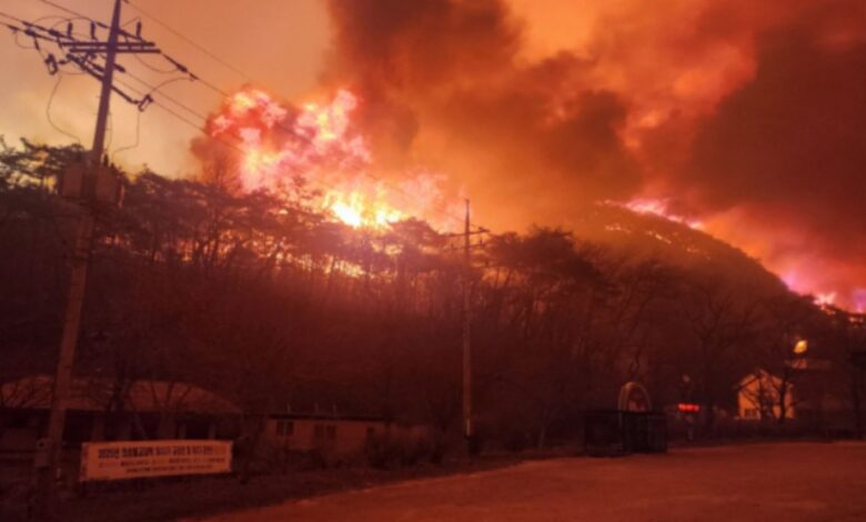 Lee Byung-doo, chuyên gia về thảm họa rừng tại Viện Khoa học Lâm nghiệp Quốc gia, cho biết đám cháy ở Uiseong mới chỉ được khống chế 68% và còn trầm trọng hơn do gió mạnh. Ảnh: X.