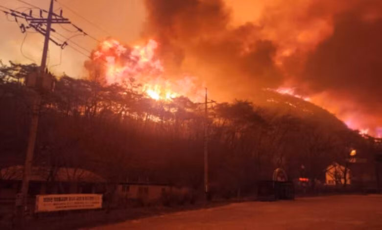 Lee Byung-doo, chuyên gia về thảm họa rừng tại Viện Khoa học Lâm nghiệp Quốc gia, cho biết đám cháy ở Uiseong mới chỉ được khống chế 68% và còn trầm trọng hơn do gió mạnh. Ảnh: X.