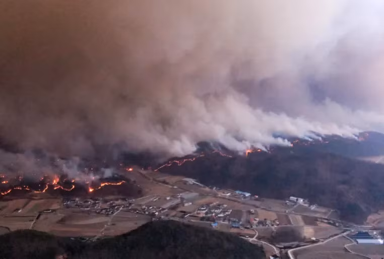 Hàng nghìn lính cứu hỏa đã được triển khai để khống chế các đám cháy rừng. Ảnh: Yonhap.