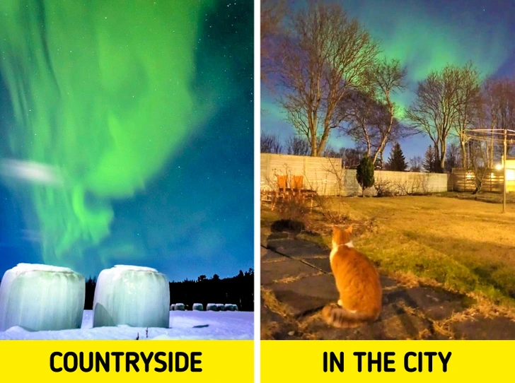 Phần Lan là một trong những nơi tốt nhất trên thế giới để ngắm cực quang phương Bắc.