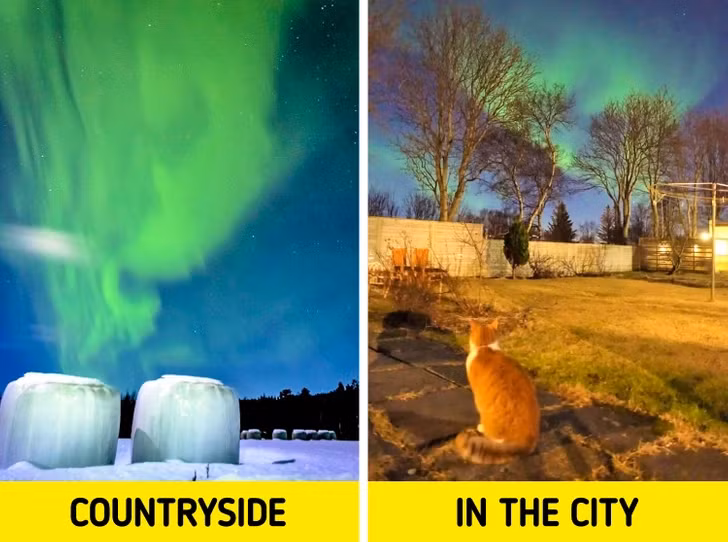 Phần Lan là một trong những nơi tốt nhất trên thế giới để ngắm cực quang phương Bắc.