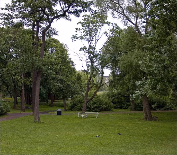 Người dân Phần Lan thực sự coi trọng sự riêng tư. Những chiếc ghế dài riêng lẻ trong công viên là một minh chứng rõ ràng về điều này.