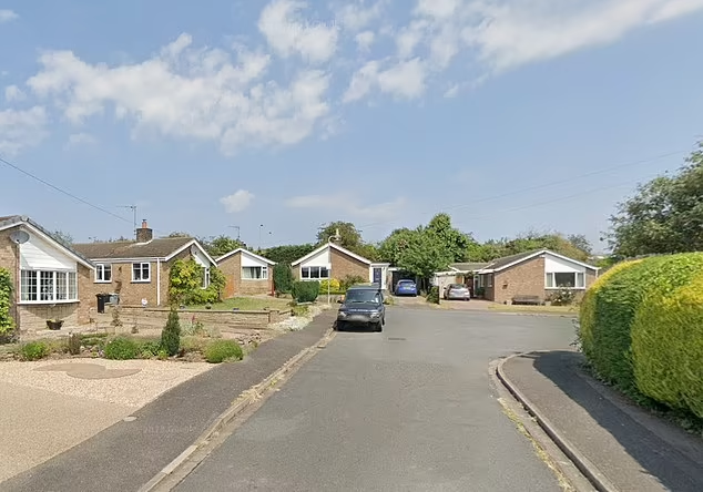 Dang dao ho trong vuon, chu nha phat hoang khi thay hai cot-Hinh-2