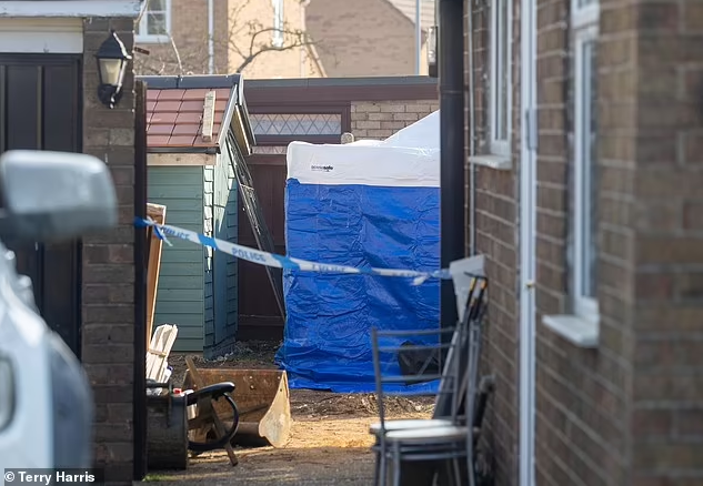 Dang dao ho trong vuon, chu nha phat hoang khi thay hai cot