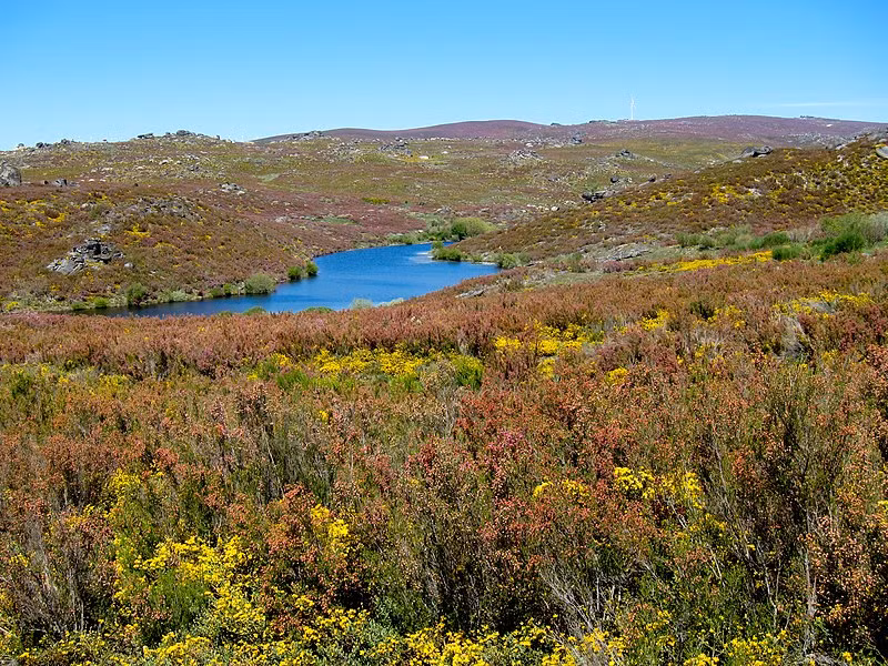 Can canh cuoc song trong ngoi lang xa xoi o Bo Dao Nha-Hinh-10